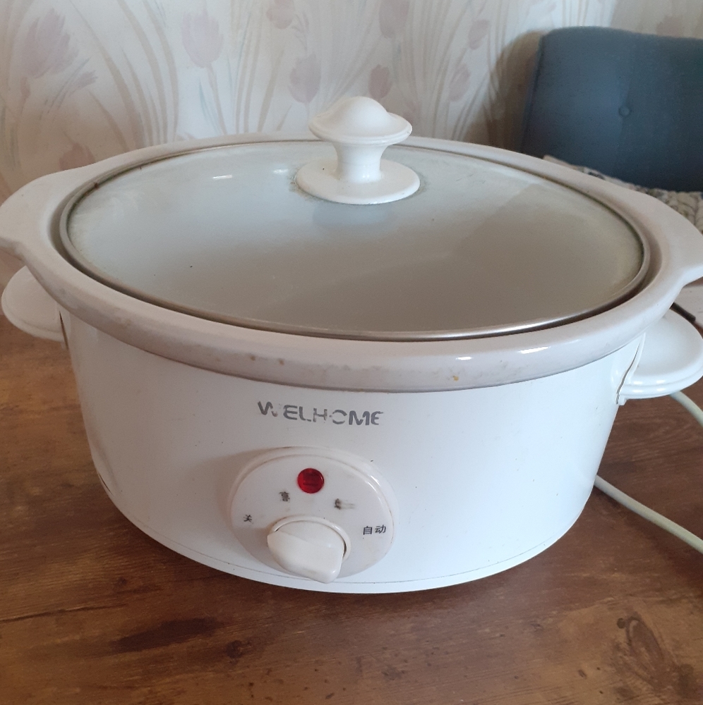 Welhome slow cooker